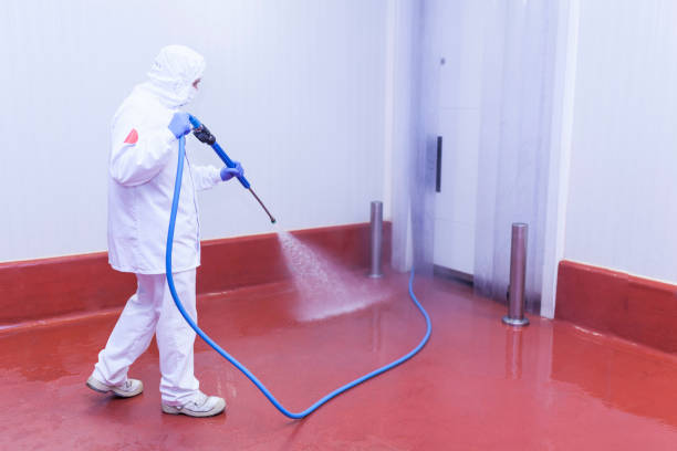 Best Rust Removal  in Caryville, TN
