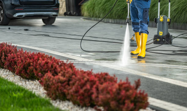 Best Warehouse Cleaning  in Caryville, TN