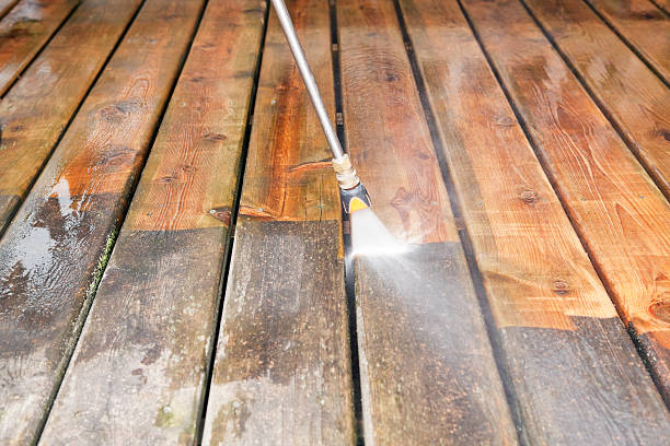 Best Fence Cleaning  in Caryville, TN